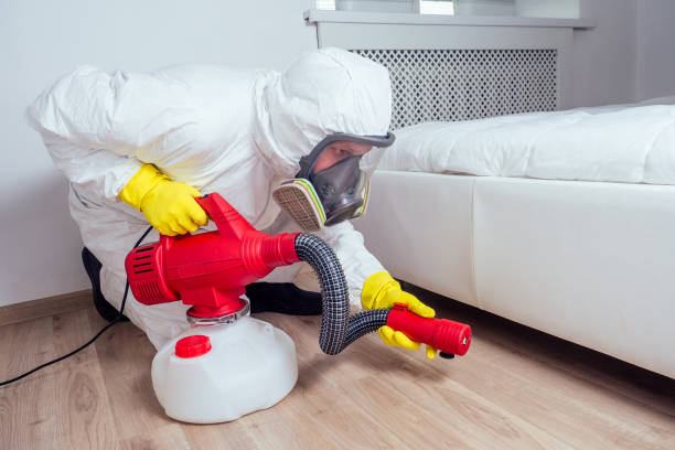 Best Affordable Pest Control Services  in Clifton, IL