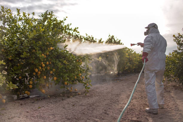 Best Affordable Pest Control Services  in Clifton, IL