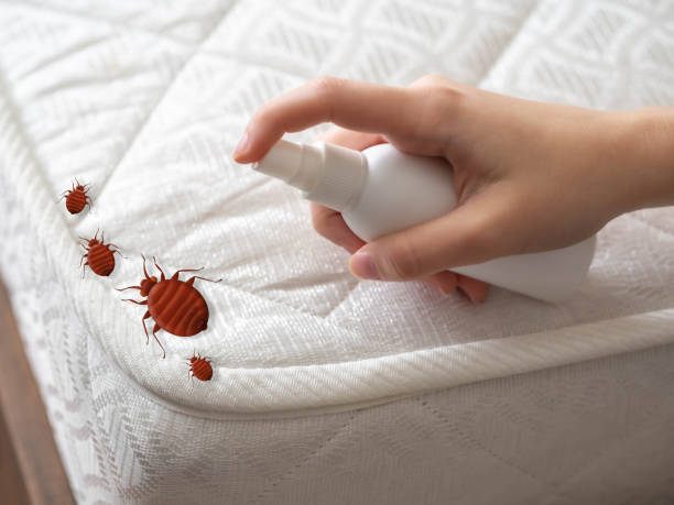 Trusted Clifton, IL Pest Control Experts