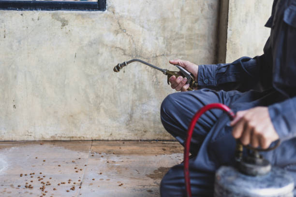 Best Pest Control for Restaurants  in Clifton, IL